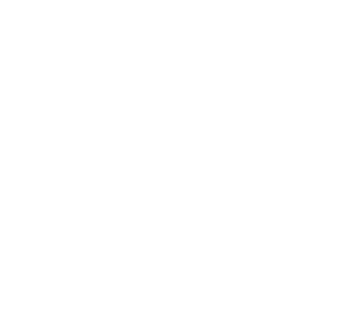 Pacific International Insurance Logo