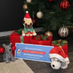 Christmas display celebrating Pacific International Insurance's support for Ronald McDonald House Charities' 12 Days of Christmas campaign.